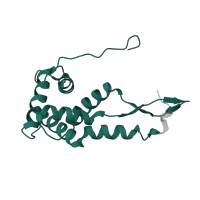 The deposited structure of PDB entry 1ibk contains 1 copy of Pfam domain PF00177 (Ribosomal protein S7p/S5e) in Small ribosomal subunit protein uS7. Showing 1 copy in chain H [auth G].