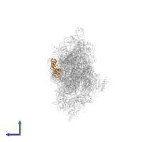 Small ribosomal subunit protein uS13 in PDB entry 1ibk, assembly 1, side view.