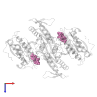 NADP NICOTINAMIDE-ADENINE-DINUCLEOTIDE PHOSPHATE in PDB entry 1ide, assembly 1, top view.