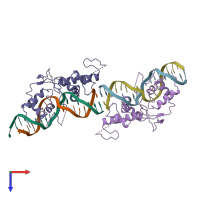 PDB entry 1ign coloured by chain, top view.