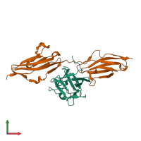 Hetero dimeric assembly 1 of PDB entry 1iil coloured by chemically distinct molecules, front view.