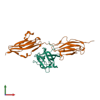 Hetero dimeric assembly 4 of PDB entry 1iil coloured by chemically distinct molecules, front view.