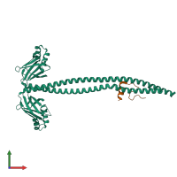 Hetero trimeric assembly 1 of PDB entry 1ik9 coloured by chemically distinct molecules, front view.