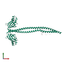 DNA repair protein XRCC4 in PDB entry 1ik9, assembly 1, front view.