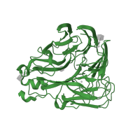 The deposited structure of PDB entry 1iny contains 1 copy of SCOP domain 50940 (Sialidases (neuraminidases)) in Neuraminidase. Showing 1 copy in chain A.