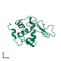 Lysozyme C in PDB entry 1io5, assembly 1, front view.