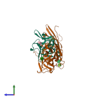 PDB entry 1ira coloured by chain, side view.
