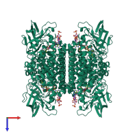 Homo tetrameric assembly 1 of PDB entry 1ivh coloured by chemically distinct molecules, top view.