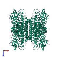 Isovaleryl-CoA dehydrogenase, mitochondrial in PDB entry 1ivh, assembly 1, top view.