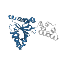 The deposited structure of PDB entry 1ixz contains 1 copy of CATH domain 3.40.50.300 (Rossmann fold) in ATP-dependent zinc metalloprotease FtsH. Showing 1 copy in chain A.