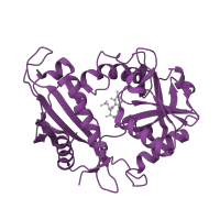 The deposited structure of PDB entry 1iye contains 3 copies of SCOP domain 56753 (D-aminoacid aminotransferase-like PLP-dependent enzymes) in Branched-chain-amino-acid aminotransferase. Showing 1 copy in chain A.