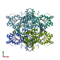PDB entry 1j21 coloured by chain, front view.