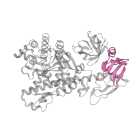 The deposited structure of PDB entry 1j2b contains 2 copies of Pfam domain PF14810 (Patch-forming domain C2 of tRNA-guanine transglycosylase) in tRNA-guanine(15) transglycosylase. Showing 1 copy in chain C [auth A].