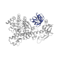 The deposited structure of PDB entry 1j2b contains 2 copies of SCOP domain 88698 (PUA domain) in tRNA-guanine(15) transglycosylase. Showing 1 copy in chain C [auth A].