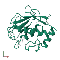 Neutrophil collagenase in PDB entry 1jao, assembly 1, front view.