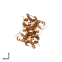 HTH-type transcriptional repressor PurR in PDB entry 1jft, assembly 1, side view.