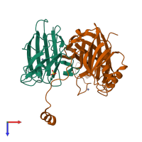 Hetero dimeric assembly 1 of PDB entry 1jk9 coloured by chemically distinct molecules, top view.