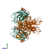 Hetero tetrameric assembly 3 of PDB entry 1jk9 coloured by chemically distinct molecules, side view.