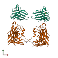 Hetero tetrameric assembly 4 of PDB entry 1jk9 coloured by chemically distinct molecules, front view.