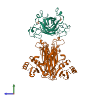 Hetero tetrameric assembly 4 of PDB entry 1jk9 coloured by chemically distinct molecules, side view.