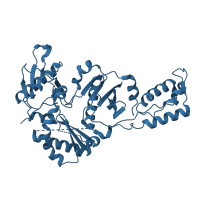 The deposited structure of PDB entry 1jlc contains 1 copy of SCOP domain 56686 (Reverse transcriptase) in p51 RT. Showing 1 copy in chain B.