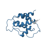The deposited structure of PDB entry 1jli contains 1 copy of Pfam domain PF02059 (Interleukin-3) in Interleukin-3. Showing 1 copy in chain A.