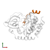 cAMP-dependent protein kinase inhibitor alpha in PDB entry 1jlu, assembly 1, front view.