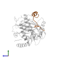 cAMP-dependent protein kinase inhibitor alpha in PDB entry 1jlu, assembly 1, side view.