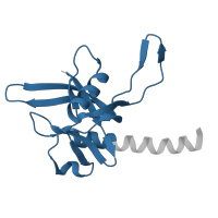 The deposited structure of PDB entry 1jrk contains 4 copies of Pfam domain PF00293 (NUDIX domain) in Nudix hydrolase domain-containing protein. Showing 1 copy in chain D.