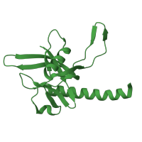 The deposited structure of PDB entry 1jrk contains 4 copies of SCOP domain 55812 (MutT-like) in Nudix hydrolase domain-containing protein. Showing 1 copy in chain D.
