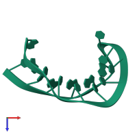 5'-R(*GP*GP*CP*CP*AP*AP*AP*GP*GP*CP*CP*CP*UP*UP*UP*UP*CP*AP*GP*GP*GP*CP*CP*AP*CP*CP*CP*A)-3' in PDB entry 1ju7, assembly 1, top view.