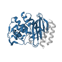 The deposited structure of PDB entry 1jwz contains 1 copy of Pfam domain PF13354 (Beta-lactamase enzyme family) in Beta-lactamase TEM. Showing 1 copy in chain A.