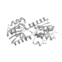 The deposited structure of PDB entry 1jyf contains 1 copy of Pfam domain PF00356 (Bacterial regulatory proteins, lacI family) in Lactose operon repressor. Showing 1 copy in chain A (this domain is out of the observed residue ranges!).