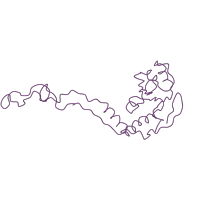 The deposited structure of PDB entry 1k01 contains 1 copy of SCOP domain 58124 (Large subunit) in Large ribosomal subunit protein uL4. Showing 1 copy in chain B [auth K].