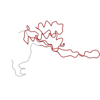 The deposited structure of PDB entry 1k01 contains 1 copy of Pfam domain PF00237 (Ribosomal protein L22p/L17e) in Large ribosomal subunit protein uL22. Showing 1 copy in chain C [auth L].