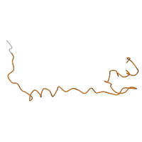 The deposited structure of PDB entry 1k01 contains 1 copy of Pfam domain PF01783 (Ribosomal L32p protein family) in Large ribosomal subunit protein bL32. Showing 1 copy in chain D [auth M].