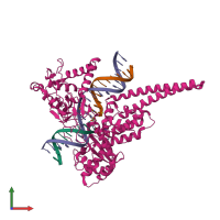 PDB entry 1k4t coloured by chain, front view.