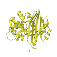 The deposited structure of PDB entry 1k55 contains 2 copies of SCOP domain 56602 (beta-Lactamase/D-ala carboxypeptidase) in Beta-lactamase OXA-10. Showing 1 copy in chain C.