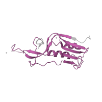 The deposited structure of PDB entry 1k8a contains 1 copy of Pfam domain PF00252 (Ribosomal protein L16p/L10e) in Large ribosomal subunit protein uL16. Showing 1 copy in chain J.