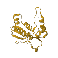 The deposited structure of PDB entry 1k8a contains 1 copy of CATH domain 3.90.1180.10 (Ribosomal Protein L13p; Chain: A;) in Large ribosomal subunit protein uL13. Showing 1 copy in chain K.