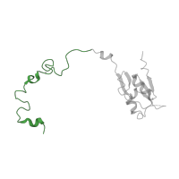 The deposited structure of PDB entry 1k8a contains 1 copy of CATH domain 4.10.990.10 (Molecule: Ribosomal Protein L15; Chain: K; domain 1) in Large ribosomal subunit protein uL15. Showing 1 copy in chain M.