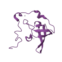 The deposited structure of PDB entry 1k8a contains 1 copy of SCOP domain 50105 (Ribosomal proteins L24p and L21e) in Large ribosomal subunit protein eL21. Showing 1 copy in chain R.