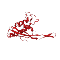 The deposited structure of PDB entry 1k8a contains 1 copy of CATH domain 3.90.470.10 (Ribosomal Protein L22; Chain A) in Large ribosomal subunit protein uL22. Showing 1 copy in chain S.