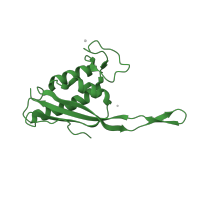 The deposited structure of PDB entry 1k8a contains 1 copy of SCOP domain 54844 (Ribosomal protein L22) in Large ribosomal subunit protein uL22. Showing 1 copy in chain S.