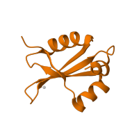 The deposited structure of PDB entry 1k8a contains 1 copy of SCOP domain 54190 (L23p) in Large ribosomal subunit protein uL23. Showing 1 copy in chain T.