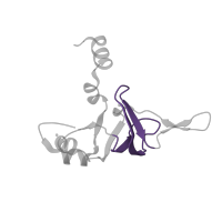 The deposited structure of PDB entry 1k8a contains 1 copy of Pfam domain PF00467 (KOW motif) in Large ribosomal subunit protein uL24. Showing 1 copy in chain U.