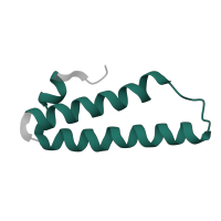 The deposited structure of PDB entry 1k8a contains 1 copy of Pfam domain PF00831 (Ribosomal L29 protein) in Large ribosomal subunit protein uL29. Showing 1 copy in chain W.