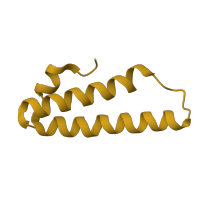 The deposited structure of PDB entry 1k8a contains 1 copy of SCOP domain 46562 (Ribosomal protein L29 (L29p)) in Large ribosomal subunit protein uL29. Showing 1 copy in chain W.
