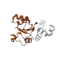 The deposited structure of PDB entry 1k8a contains 1 copy of CATH domain 3.30.1390.20 (Ribosomal Protein L30; Chain: A,) in Large ribosomal subunit protein uL30. Showing 1 copy in chain X.