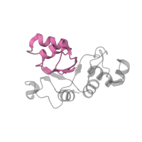 The deposited structure of PDB entry 1k8a contains 1 copy of Pfam domain PF00327 (Ribosomal protein L30p/L7e) in Large ribosomal subunit protein uL30. Showing 1 copy in chain X.